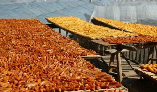 地瓜干加工制作过程