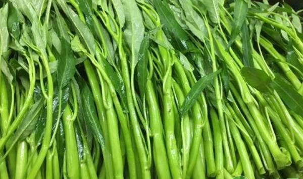 空心菜的品种选择及种植特点