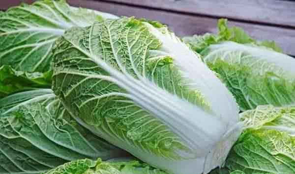 夏季白菜如何遮阳？都有哪些栽培要点？