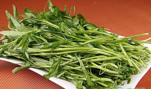 种植空心菜想要长得快？这几个方法要掌握！