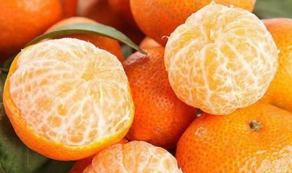 种桔子树怎么施肥？施什么肥料比较好？