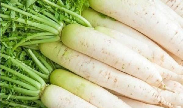 想要种的萝卜早出苗、出齐苗？那就先做好这四大要点！