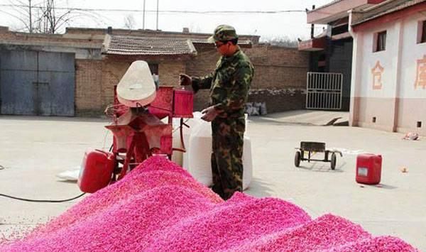 小麦播种准备工作