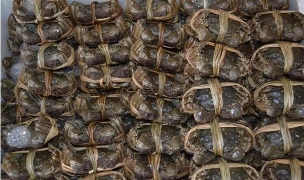 螃蟹水瘪子现象的发生原因及预防方法