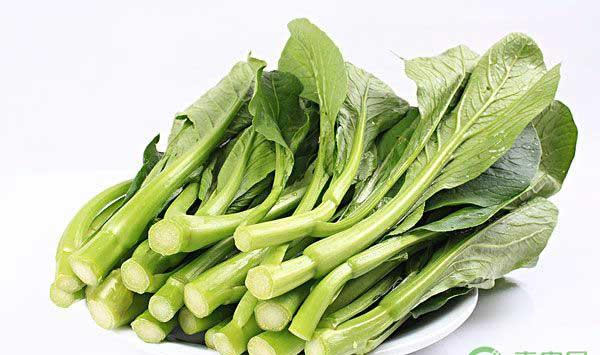 四九菜心什么时候种植？四九菜心种植技术