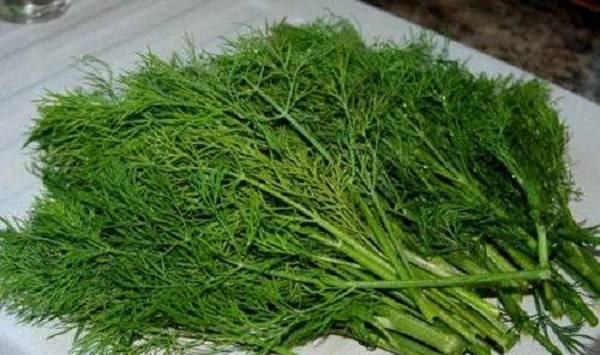 立秋秋茬茴香种植注意事项