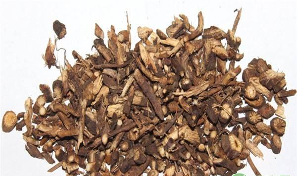 山豆根的种植技术及病虫害防治