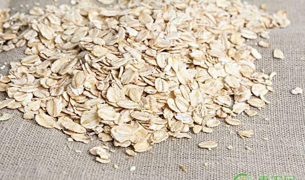 喂羊除了玉米，还有这五种重要能量饲料