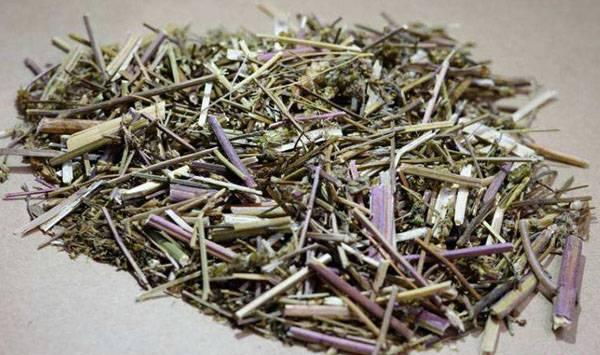 荆芥的种植时间及管理要点