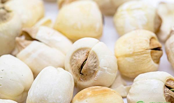 莲子如何采收？都有哪些注意事项？