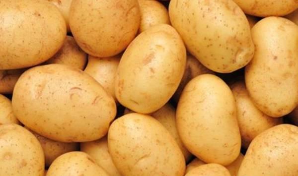 土豆田间管理技术和要点