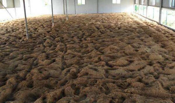 发酵床养鹅优势