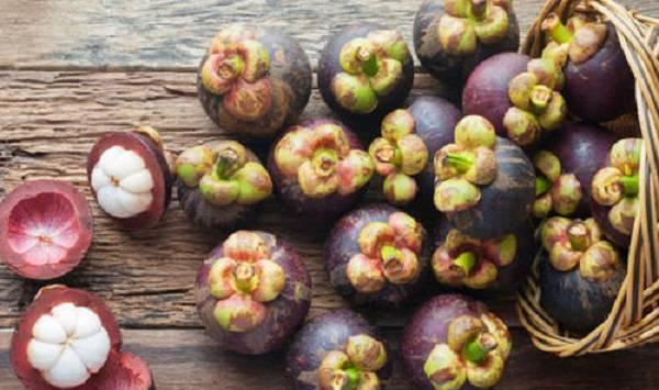 山竹的高产种植技术介绍