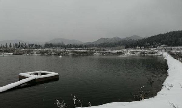 冬季鱼塘管理要点和注意事项