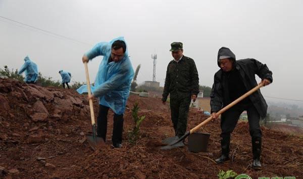 12月果树种植指南