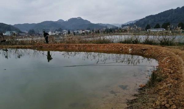 冬季鱼塘增氧的方法